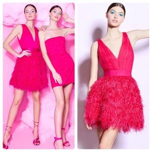 ALICE + OLIVIA Tehran Feather Party Mini Dress